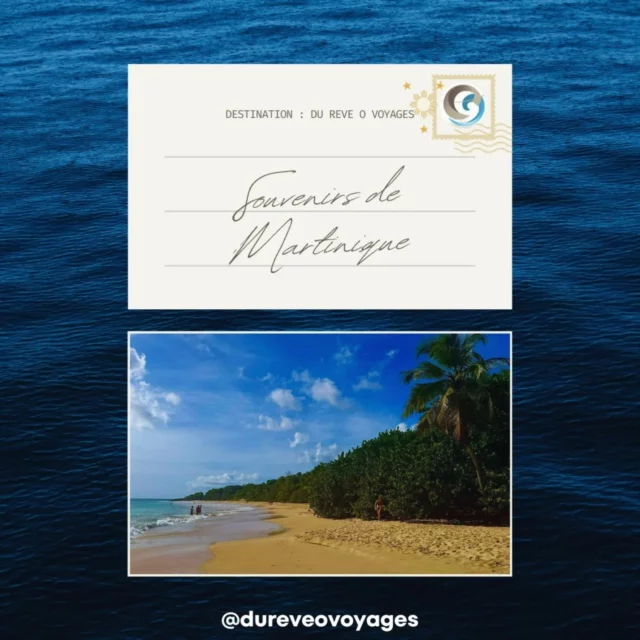🌟 Quel bonheur de vivre cette aventure avec vous ! 🌟

Explorer la Martinique, c’est s’offrir un voyage inoubliable entre plages de sable fin, reliefs majestueux et végétation luxuriante. 🌿🏝️
Des balades au cœur des forêts tropicales aux baignades dans des eaux cristallines, chaque instant est une invitation à l’évasion et à la découverte ✨

Merci à nos voyageurs pour avoir partagé ces moments magiques avec nous et pour ces souvenirs précieux gravés ensemble.

C’est cette passion pour l’évasion et la découverte qui rend notre métier si extraordinaire 🌍✈️

#Martinique #Voyage  #Plage #Nature  #Exotique #Évasion #Caraïbes #Aventure  #Île #Tropical